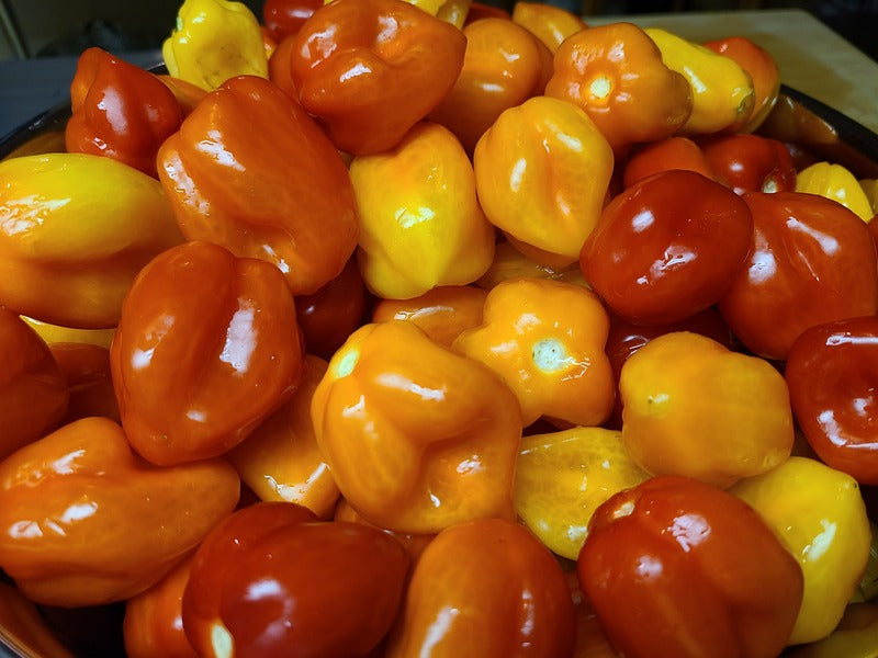 Mango Blaze hot sauce 5 fl. oz.