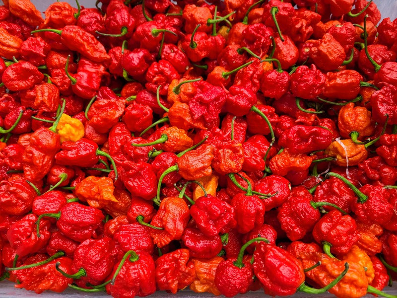 Caribbean Scorch hot sauce 5 fl. oz.