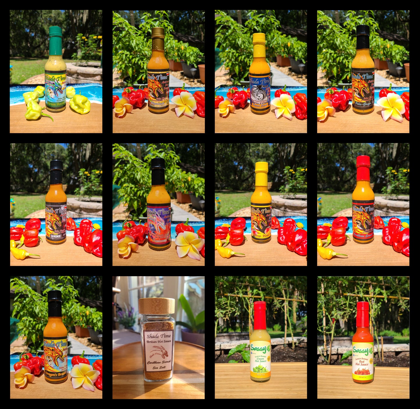 "The 12er complete hot sauce gift pack with 9 sauces, salt, and Sassy Scotch Bonnets. Shade Time 12-pack with hot sauces and artisan spicy sea salt"