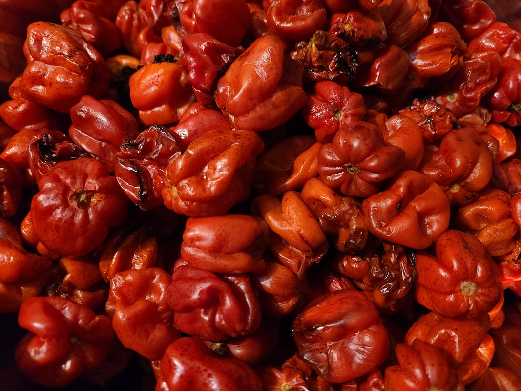"Smoked chiles for Shade Time Smoke"