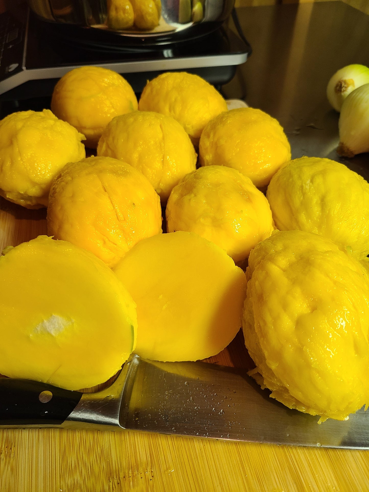 "Mangoes for Shade Time Mango Blaze"