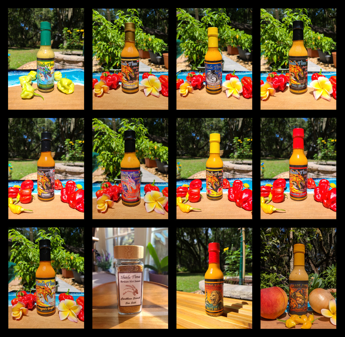 12-pack, one of each 5 fl.oz. flavor plus a spicy salt"